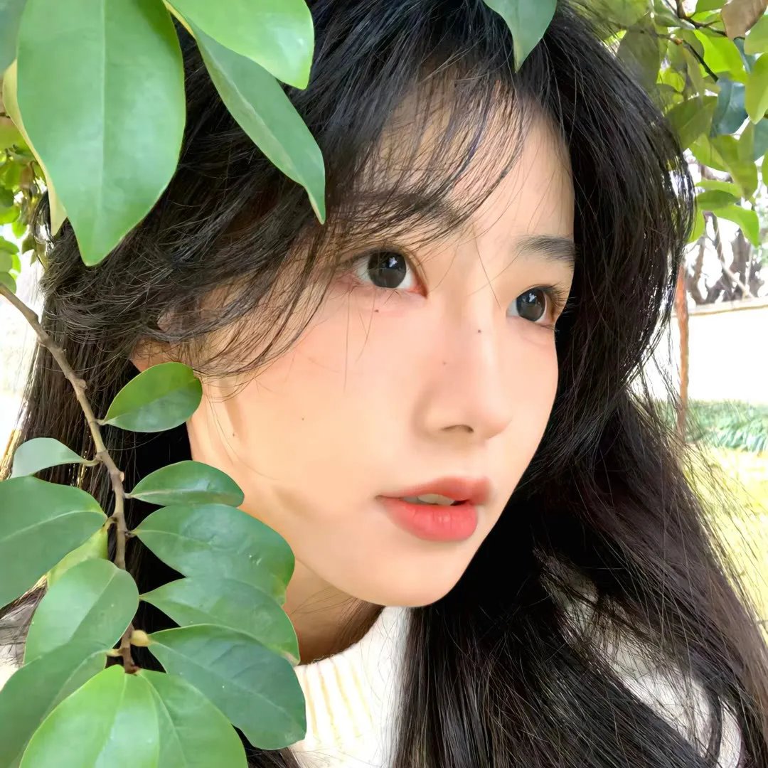 灵狐